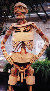 Skivepreparat