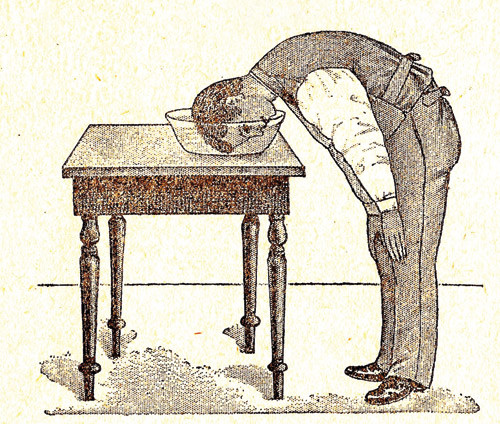 Fig. 8. 