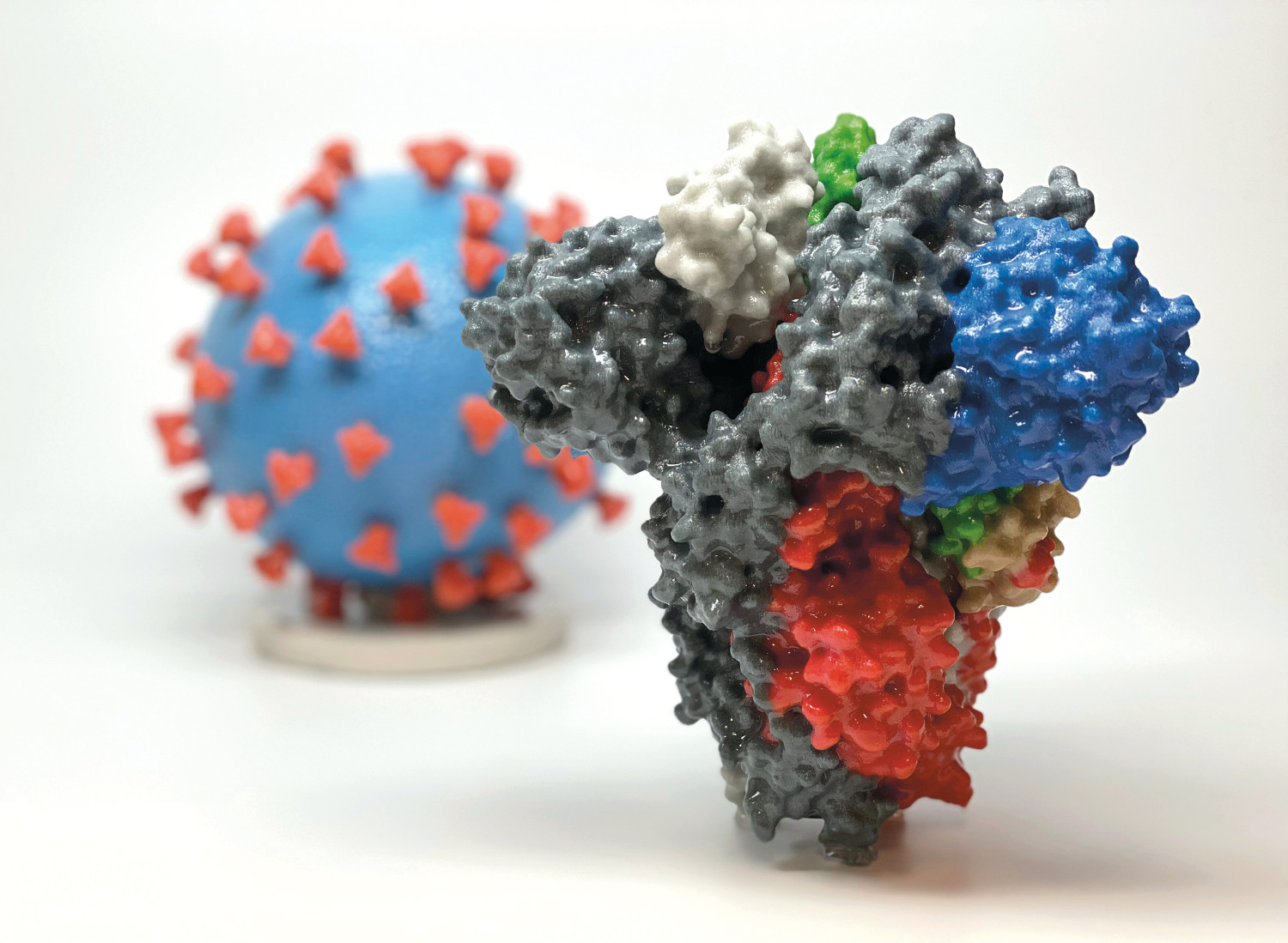 Figur 2 3D-printet strukturmodell av pigg (spike)-proteinet (S) til SARS-CoV-2 sett fra siden. S-proteinet er det prim&aelig;re&hellip;