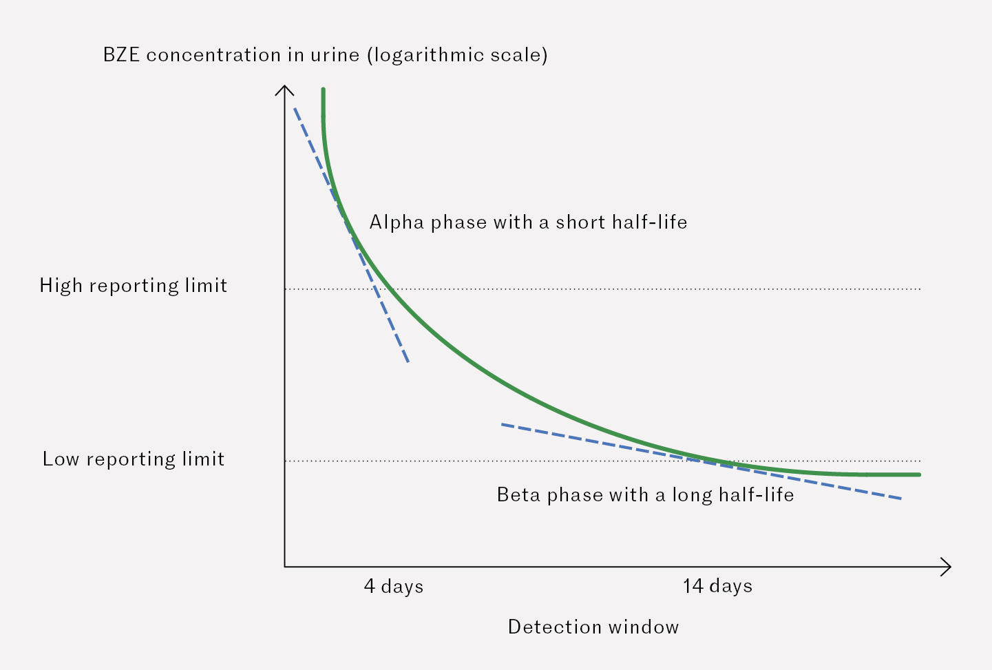 Figure 1 Example of biphasic elimination of BZE after repeated cocaine intake. First we see an alpha phase with a short half&hellip;