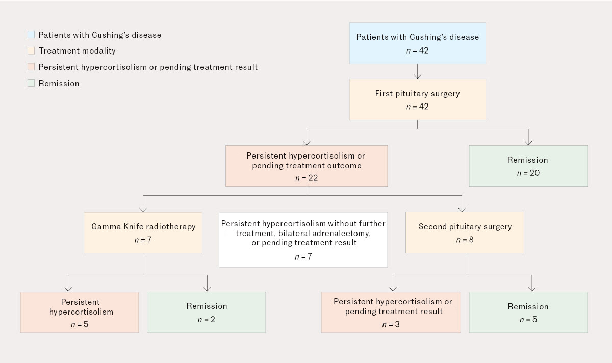 Figure 1 Flowchart showing the choice of treatment modalities and treatment outcomes. The figure illustrates only initial&hellip;