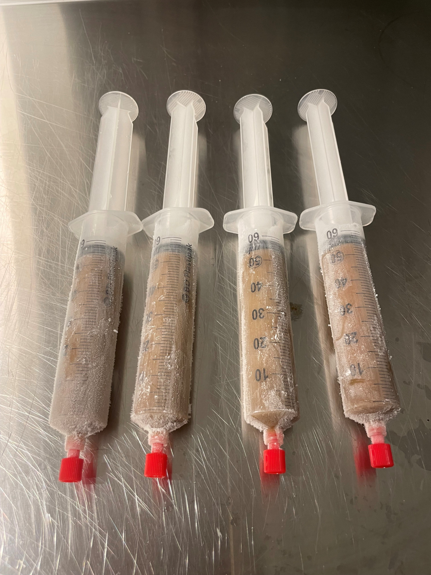 Figure 1 Faecal microbiota from a healthy stool donor, ready for use. Photo: Peter Holger Johnsen, University Hospital of&hellip;