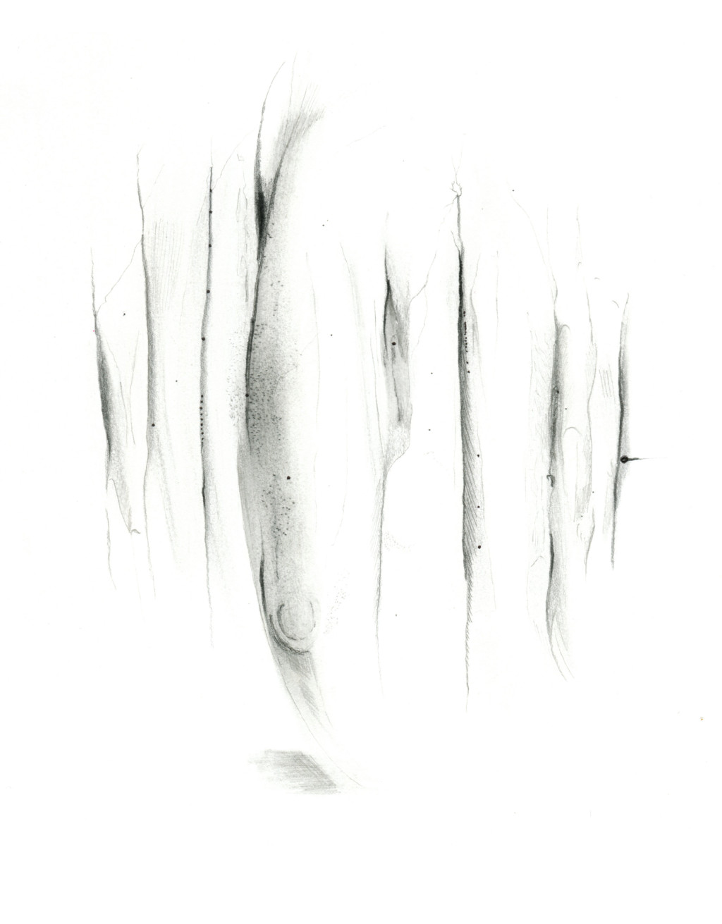 Illustration: &Oslash;ystein Figenschou