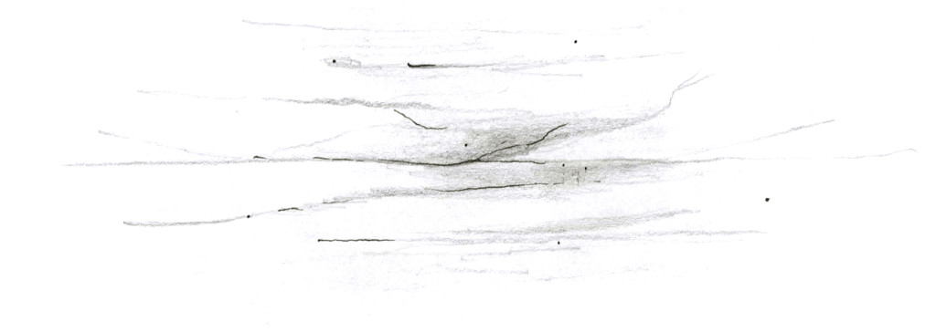 Illustration: &Oslash;ystein Figenschou