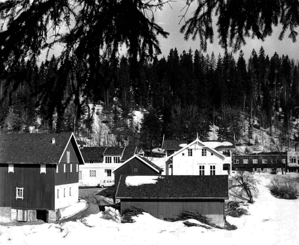 Figure 5 The epilepsy centre at Solberg farm in B&aelig;rum in the 1960s. Photographer unknown, property of the Norwegian Centre&hellip;