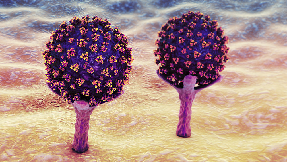 Illustrasjon: Dr Microbe / iStock