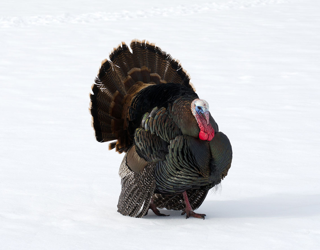 Illustrasjonsfoto: Photofun12/iStock