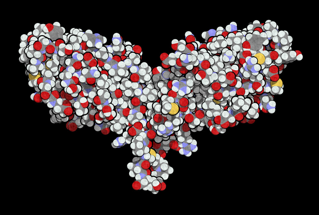 CTLA-4-protein (cytotoksisk T-lymfocyttassosiert protein 4), en immunsjekkpunkthemmer. Illustrasjon: Science Photo Library /&hellip;