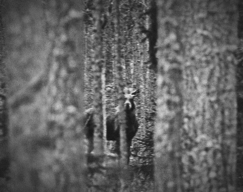 Photo: Jan-Eilert Pedersen